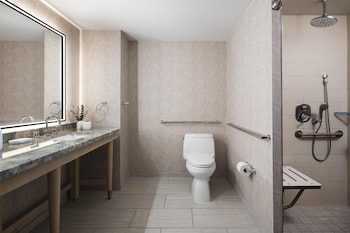 Room, 1 Queen Bed, Accessible (Shower)