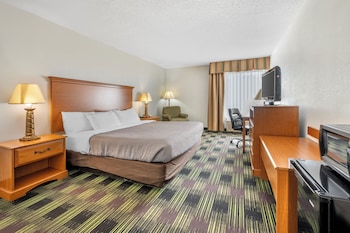 Room, 1 King Bed, Non Smoking