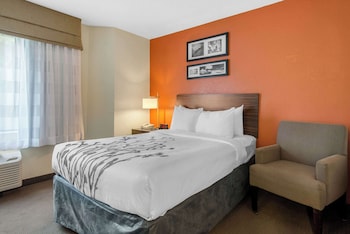 Room, 1 Double Bed, Accessible, Non Smoking (Roll-In Shower)