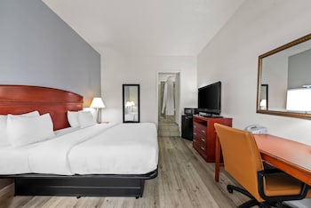 Room, 1 King Bed, Non Smoking