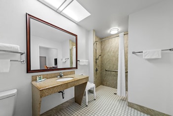 Room, 1 King Bed, Non Smoking (Accessible)