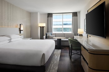 Room, 1 King Bed with Sofa bed