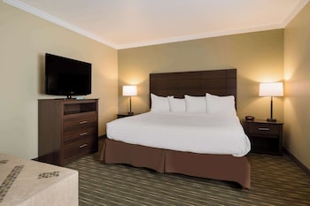 Suite, 1 King Bed, Non Smoking (with Sofabed)