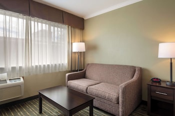Standard Room, 1 King Bed, Non Smoking, Refrigerator & Microwave