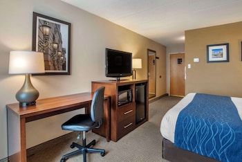 Standard Room, 1 King Bed, Non Smoking