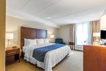 Standard Room, 1 King Bed, Non Smoking