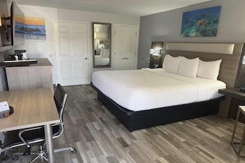 Deluxe Room, 1 King Bed, Mobility Accessible, Non Smoking (Bathtub with Grab Bars)