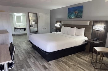 Deluxe Room, 1 King Bed, Mobility Accessible, Non Smoking (Bathtub with Grab Bars)