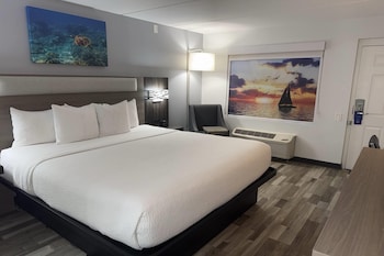 Deluxe Room, 1 King Bed, Mobility Accessible, Non Smoking (Bathtub with Grab Bars)