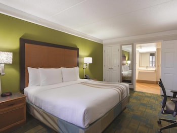 Deluxe Room, 1 King Bed, Mobility Accessible, Non Smoking (Bathtub with Grab Bars)