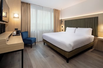 Suite, 1 King Bed with Sofa bed