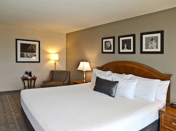 Room, 1 King Bed, City View