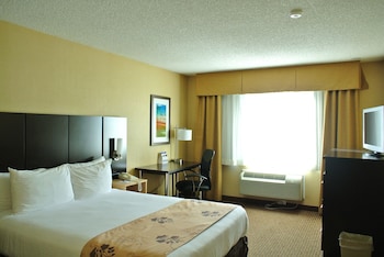 Standard Room, 1 Queen Bed, Non Smoking, Refrigerator