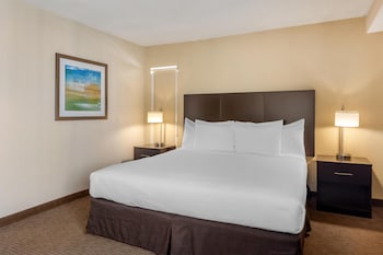 Standard Room, 1 King Bed, Non Smoking (Living Room;Oversized Room)
