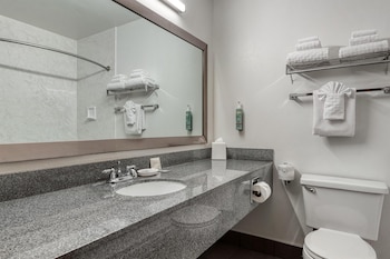 Standard Room, 1 King Bed, Non Smoking, Refrigerator