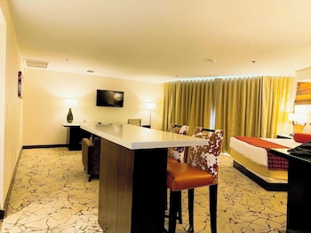 Executive Studio Suite