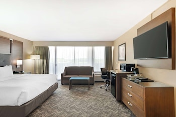 Standard Room, 1 King Bed, Non Smoking, Refrigerator (with Sofabed)