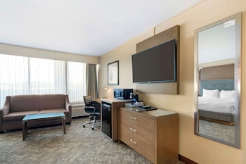 Standard Room, 1 King Bed, Non Smoking, Refrigerator (with Sofabed)