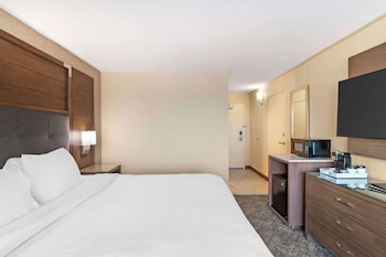 Standard Room, 1 King Bed, Accessible, Refrigerator