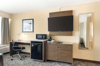 Standard Room, 1 King Bed, Non Smoking, Refrigerator (with Sofabed)