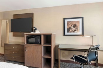 Standard Room, 1 King Bed, Accessible, Refrigerator