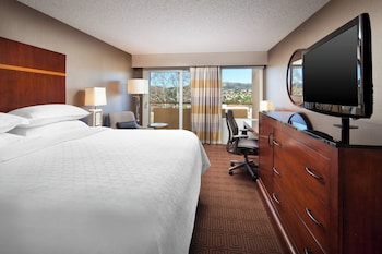 Room, 1 King Bed