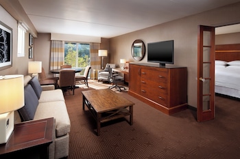 Executive Suite, 1 Bedroom, Mountain View