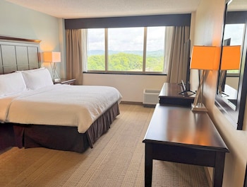 Standard Room, 1 King Bed, Accessible (Communications)