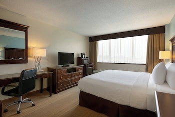 Standard Room, 1 King Bed, Accessible (Communications)