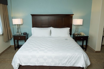 Standard Room, 1 King Bed with Sofa bed