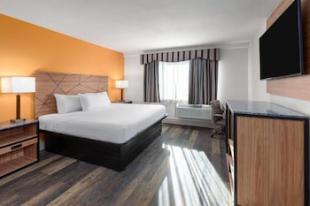 Room, 1 King Bed, Non Smoking