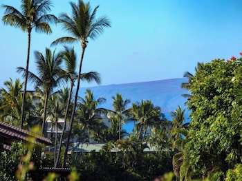 Condo, 1 Bedroom, Garden View (40C)
