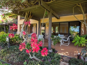 Condo, 2 Bedrooms, Ocean View (29B)