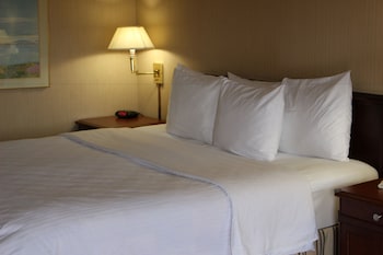 Presidential Suite, 1 King Bed, Fireplace, Jacuzzi