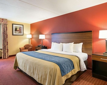 Standard Room, 1 King Bed, Non Smoking