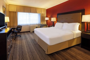 Room, 1 Double Bed, Mobility Accessible, Non Smoking (Roll-in Shower)