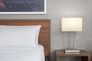 Standard Room, 1 King Bed, Non Smoking (Walk-in Shower;Pet Friendly)
