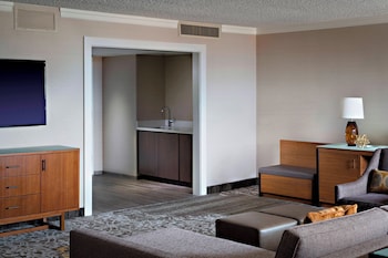 Room, 1 King Bed (Mobility Accessible, Roll-In Shower)