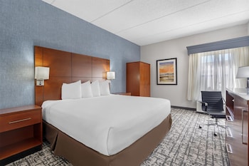 Standard Room, 1 King Bed, Accessible, Bathtub