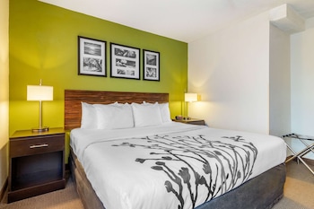 Room, 1 King Bed, Accessible, Non Smoking (Efficiency)