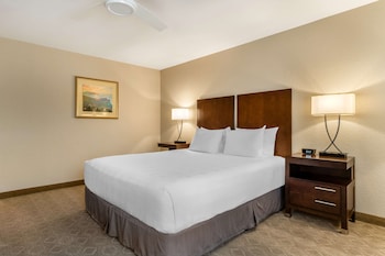 Standard Room, 1 King Bed, Non Smoking, Refrigerator