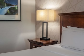 Room, 1 King Bed, Accessible