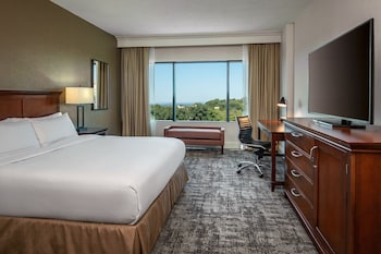 Suite, 1 King Bed, Non Smoking