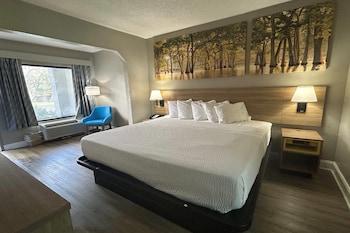 Standard Room, 1 King Bed
