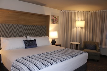 Room, 1 King Bed, Non Smoking