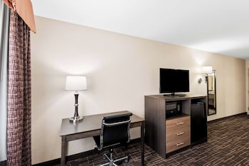 Deluxe Room, 1 King Bed, Non Smoking, Refrigerator & Microwave (with Sofabed)
