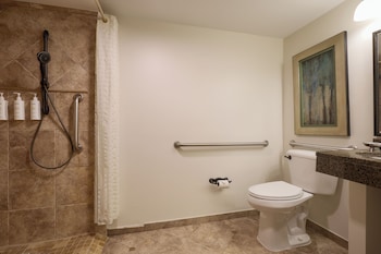 Room, 1 King Bed, Mobility Accessible
