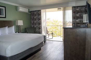 Standard Room, 1 King Bed, Refrigerator & Microwave