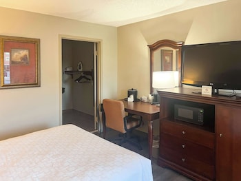 Deluxe Room, 1 Queen Bed, Smoking, Refrigerator & Microwave
