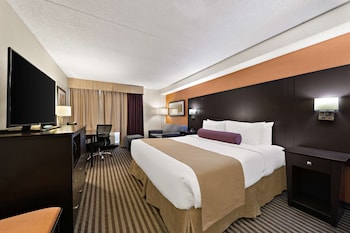 Standard Room, 1 King Bed, Non Smoking, Refrigerator & Microwave (with Single Sofabed)